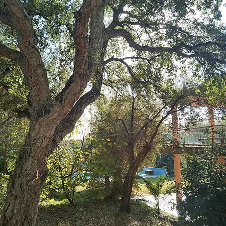 - En Plena Naturaleza - Abril * סוטוגרנדה